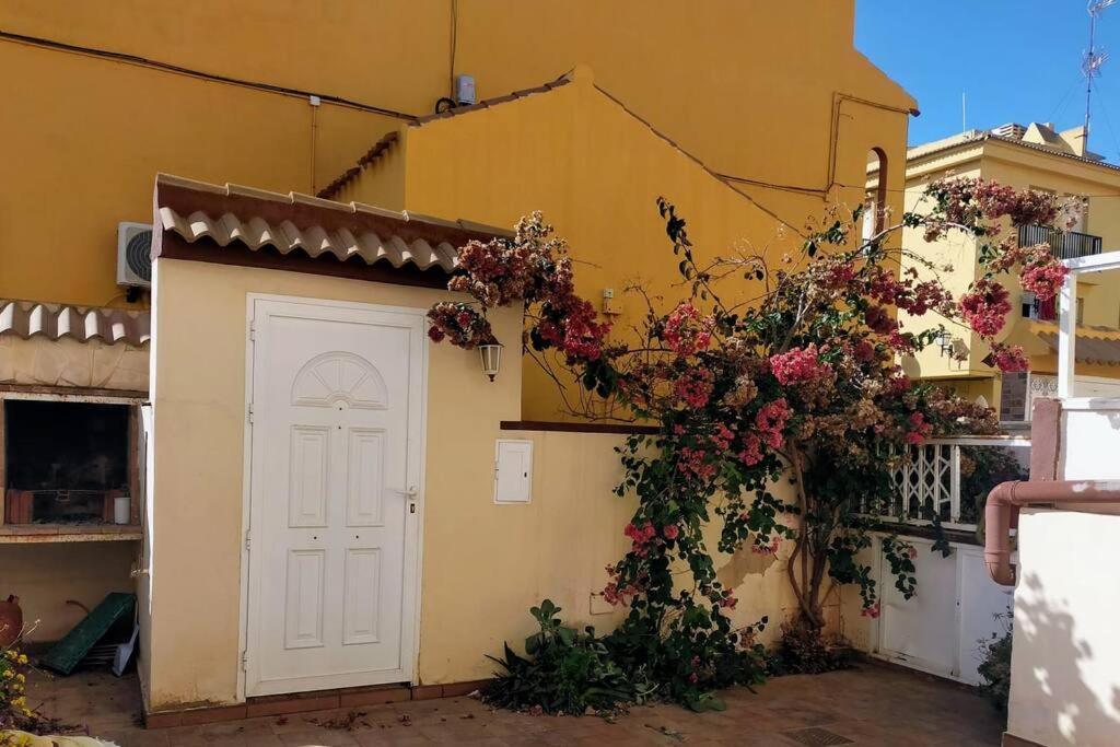 Mar Azul Adosado, Patio Y Solarium Daire Torrevieja Dış mekan fotoğraf